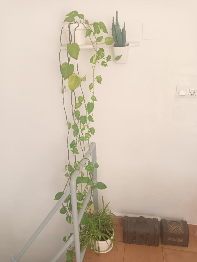 Apartamento El Terrat de la Tecla  Tarragona Exterior foto