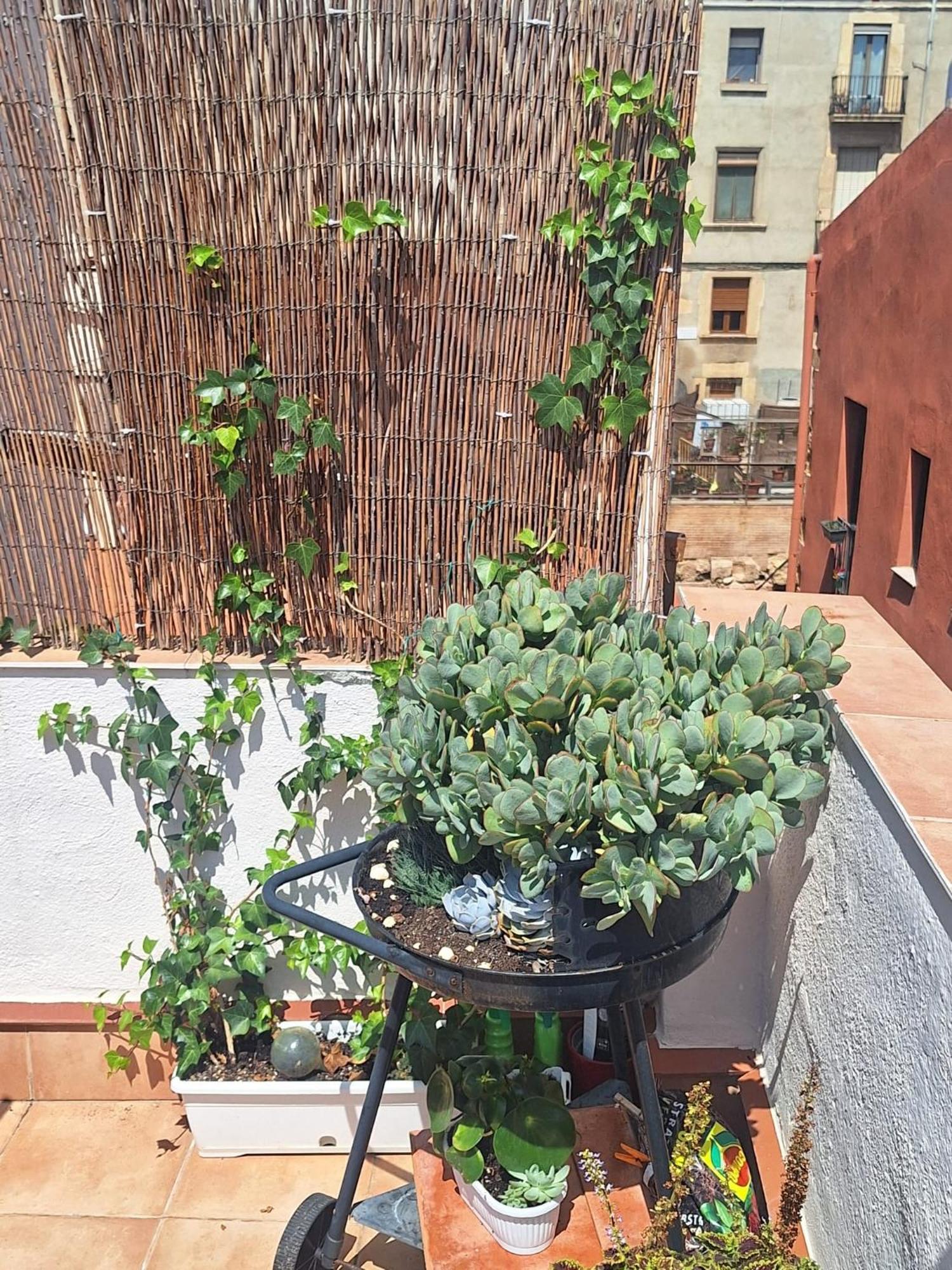 Apartamento El Terrat de la Tecla  Tarragona Exterior foto