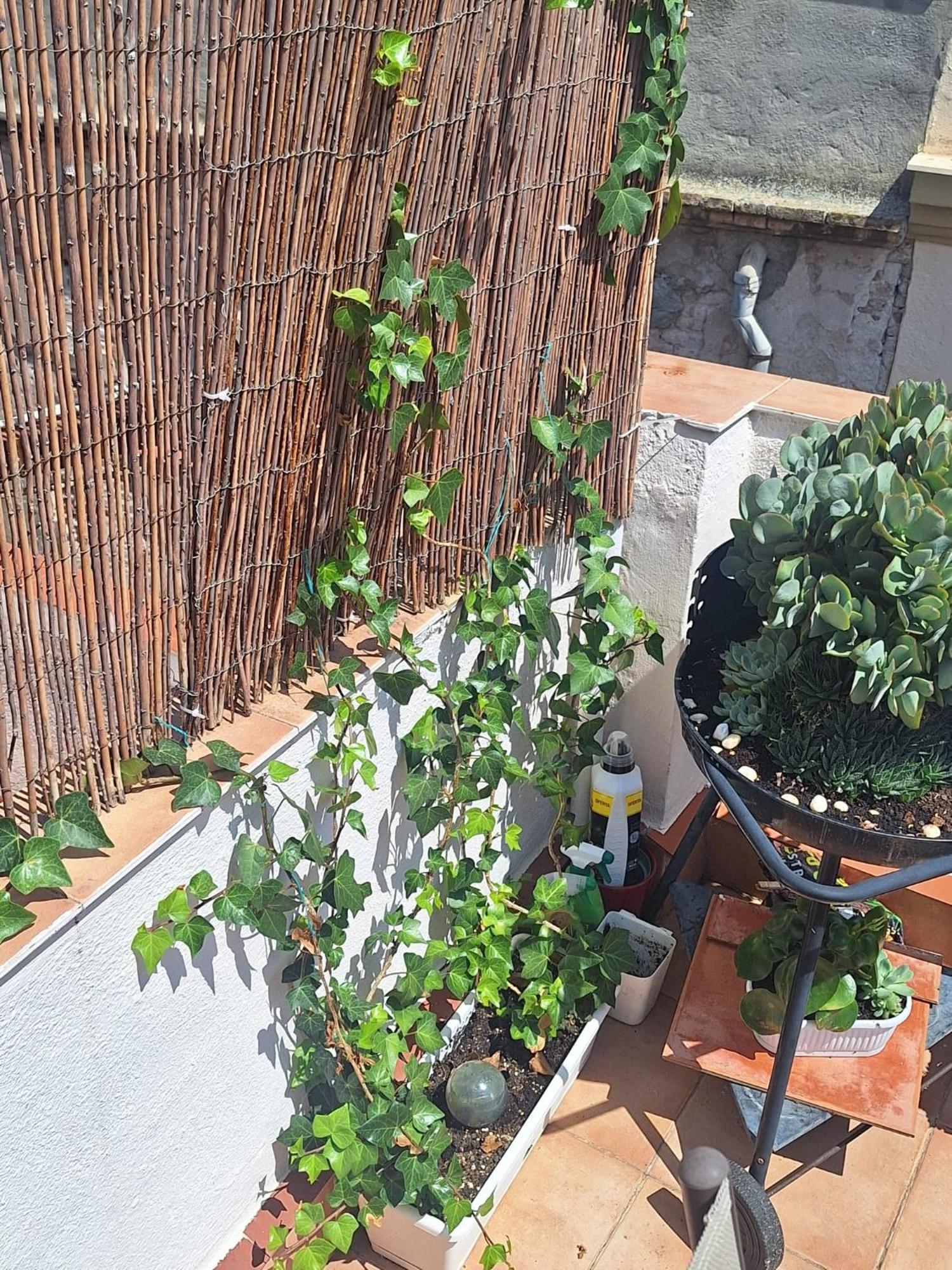 Apartamento El Terrat de la Tecla  Tarragona Exterior foto